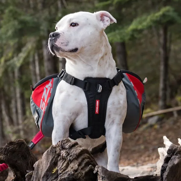 EzyDog Summit Backpack