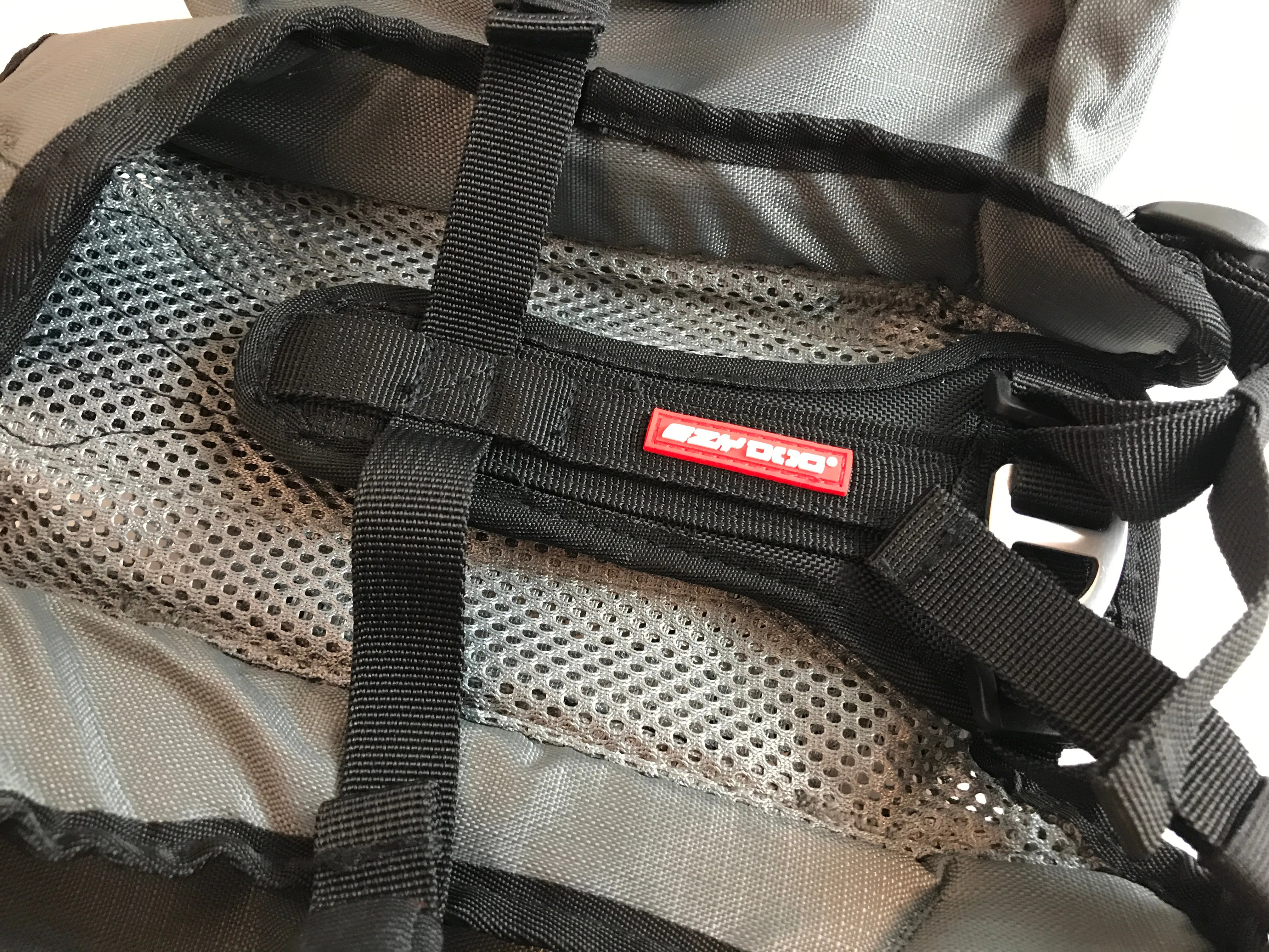 EzyDog Summit Backpack