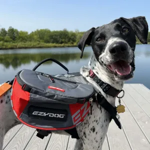 EzyDog Summit Backpack