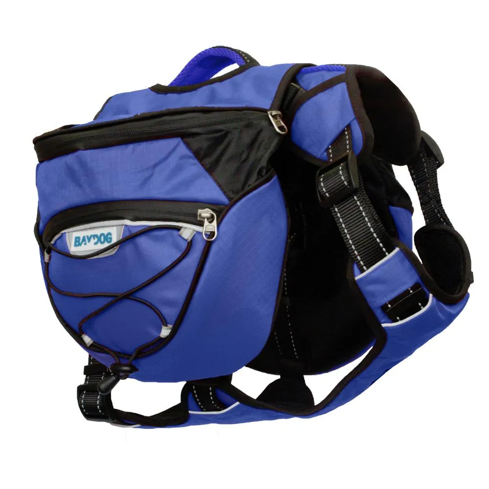 Saranac Backpack