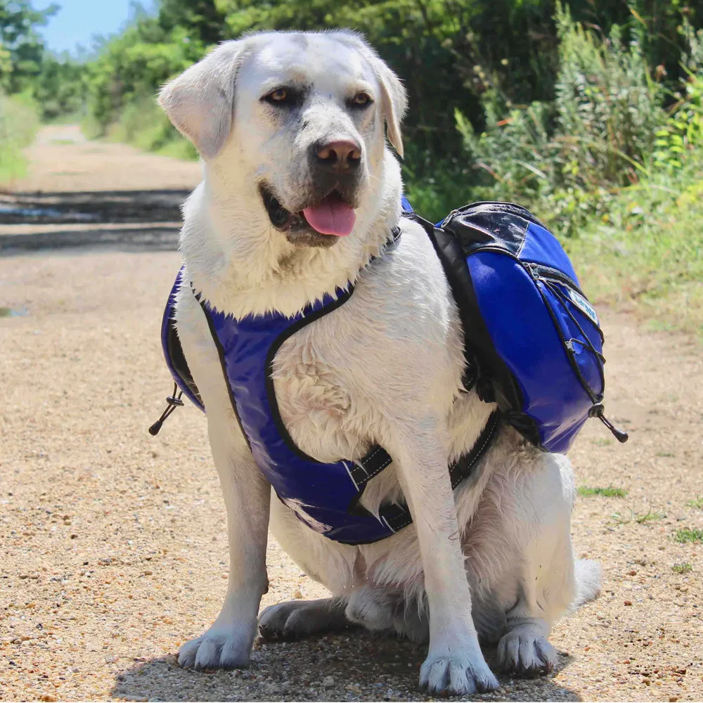 Saranac Backpack