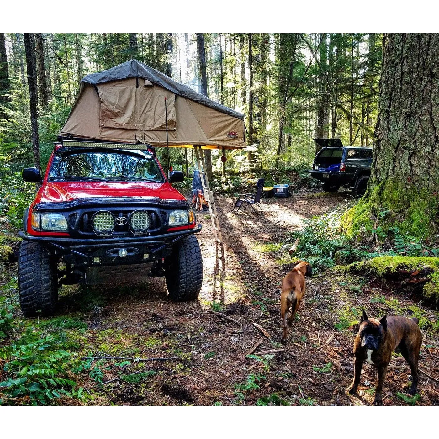 Tuff Stuff Ranger Overland 3 Person Roof Top Tent & Annex - TS-RTT-ANX-RAN